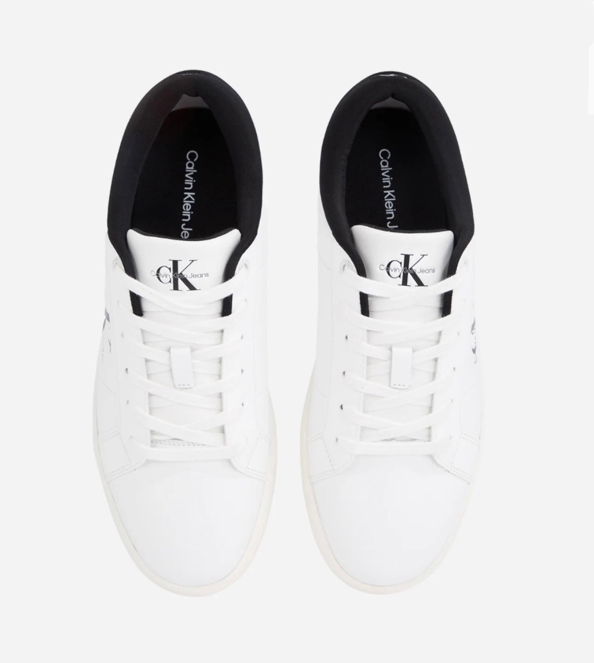 Sneakers Basic - Calvin Klein